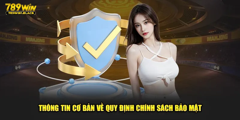 Chính Sách Bảo Mật 789WIN: Cam Kết Giữ An Toàn Dữ Liệu 2 Chính sách bảo mật - Thông tin sơ lược
